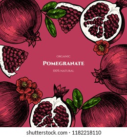 Vector frame with pomegranate. Hand drawn. Vintage style