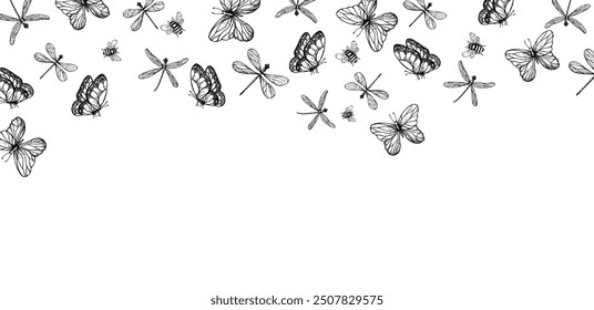 Vector frame, postcard with dragonfly, butterflies and bumblebee. Hand painted linear insect. Graphic clipart isolated on background. Botanical and wedding illustration. For designers, invitations, de