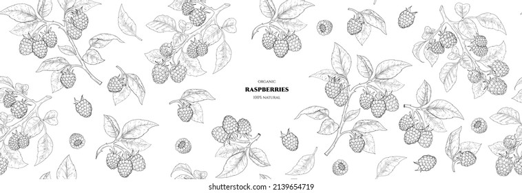 Vector frame with raspberries.  Vector seamless pattern. Hand drawn illustrations.
