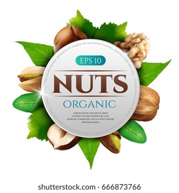 Vector frame of realistic nuts with leaves isolated on white background. Round frame of various nuts with place for text and logo