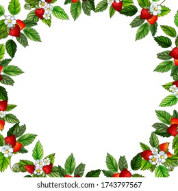 Vector frame with red strawberry, green leaves and flowers on white background. Copy space. Hand drawn. Colorful composition for design menu, greeting card, label. Stock illustration.