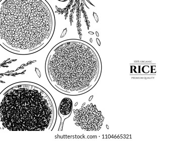 Vector frame with rice . Hand drawn. Vintage style