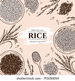 Vector frame with rice . Hand drawn. Vintage style