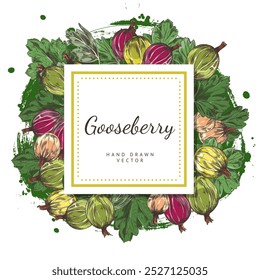 Vector frame of ripe berries and gooseberry leaves hand-drawn with an empty space for text. The illustration highlights fresh elements with a vintage touch