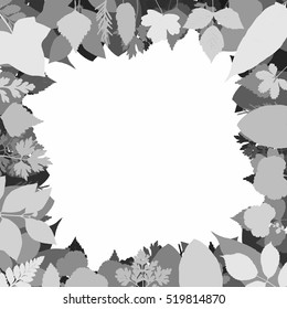 Vector frame with rose, birch, herbs, flowers, trees leaves. Monochrome square frame. Template.