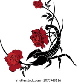 Vektorrahmen mit Rosen und Skorpion in Schwarz, Rot und Weiß