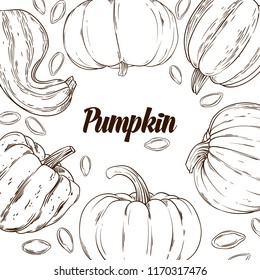 Vector frame Sketch Pumpkin. Doodle pumpkins. Hand drawn illustration.