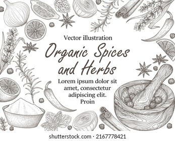 Vector frame of spices and herbs in engraving style. Graphic linear rosemary, peppercorns, lavender, anise, cinnamon, onion, mint, lemon, chili, curry