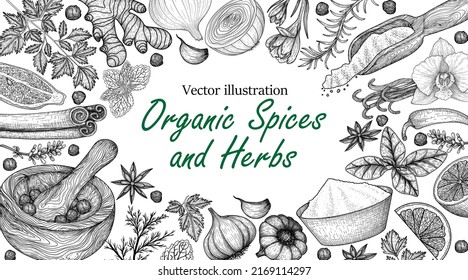 Vector frame of spices and herbs in engraving style. Rosemary, peppercorns, lavender, anise, cinnamon, onion, mint, lemon, chili pepper, curry, parsley, garlic, dill, ginger, saffron, basil, vanilla