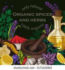 Vector Frame Of Spices And Herbs. Lavender, Parsley, Dill, Olive Oil, Peppercorns, Curry, Garlic, Mint, Lavender, Spice Scoop, Lemon, Basil, Chili Pepper, Saffron