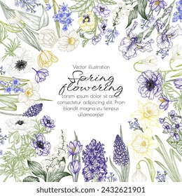 Vector marco de flores de primavera. Gotas de nieve, crocus, brunnera, tulipanes, muscari, jacintos, iris, narciso, margaritas, lirio del valle, anémona, scilla, viola