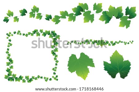 Vector frame with square decorated branches of green ivy leaves on a white background.