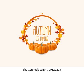 Vector frame with stylish composition of autumn leaves. 