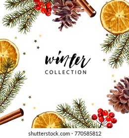 14,511 Watercolor pine cones Images, Stock Photos & Vectors | Shutterstock