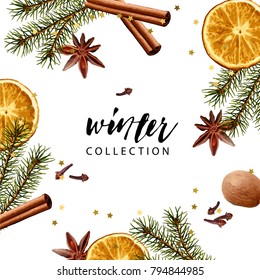 Vector frame template. Fir branches, dry orange slice, cinnamon stick, nutmeg, cloves, anise. Realistic illustration style. Seasonal winter wallpaper.