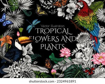 Vector frame of a toucan and a macaw parrot in a tropical garden with butterflies in an engraving style. Anthurium, palm and banana leaves, liviston, plumeria, zantedeschia, monstera