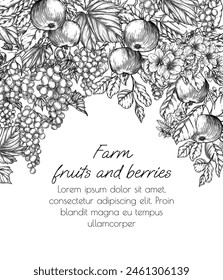 Marco de Vector de árboles en un huerto. Uvas y manzanas en estilo grabado