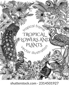 Vector frame with tropical garden with exotic birds. Macaw parrot, toucan, hoopoe, peacock, flamingos and cockatiel parrot in engraving style