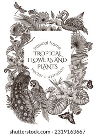 Vektorrahmen mit tropischem Garten mit exotischen Vögeln. Papagei, Pfau, Flamingos und Cockatielpapagei im Gravierstil
