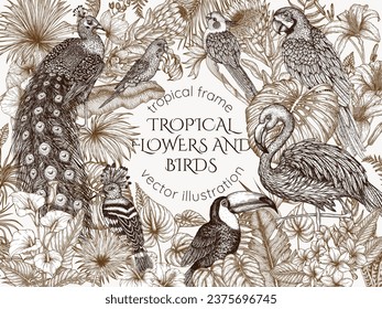 Vector frame. Tropical garden with exotic birds. Macaw parrot, toucan, hoopoe, peacock, flamingos, budgie and cockatiel parrot in engraving style