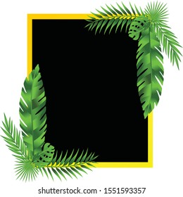 Vector Frame tropical green background with palm trees and leaves.