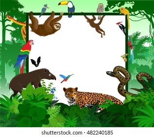 vector frame with tropical jungle cartoon animals