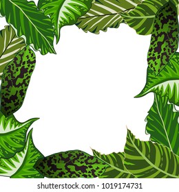 Vector frame with  tropical leaves
