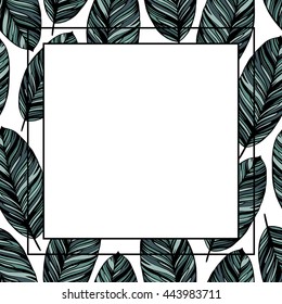 Vector frame with tropical leaves.