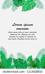 Vector frame with tropical leaves. Universal design for card, invitation, banner, poster, placard, cover.