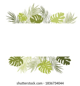 vector frame with tropical palm leaves and monstera leaves. cool vector illustrations for the design of cards, posters, invitations