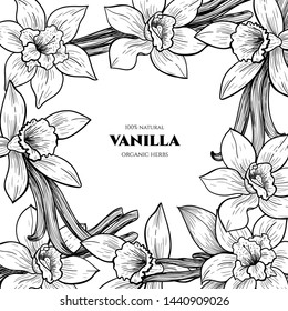 Vector frame with vanilla flowers and pods. Hand drawn. Vintage style