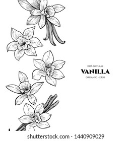 Vector frame with vanilla flowers and pods. Hand drawn. Vintage style