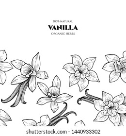 Vector frame with vanilla flowers and pods. Hand drawn. Vintage style