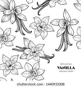 Vector frame with vanilla flowers and pods. Hand drawn. Vintage style