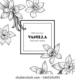 Vector frame with vanilla flowers and pods. Hand drawn. Vintage style