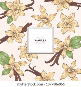 Vector frame with vanilla flowers and pods. Hand drawn. Vintage style