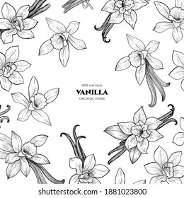 Vector frame with vanilla flowers and pods. Hand drawn. Vintage style