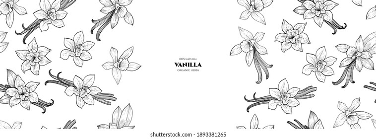 Vector frame with vanilla flowers and pods. Hand drawn. Vintage style