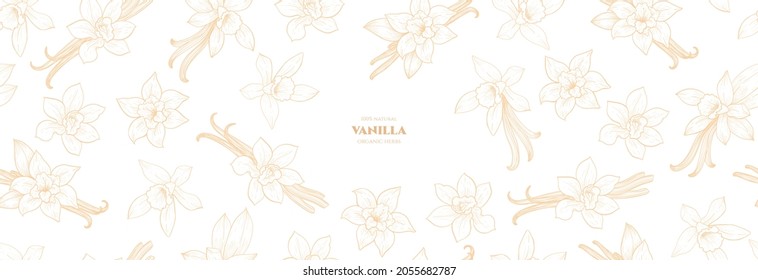 Vector frame with vanilla flowers and pods. Vector seamless pattern. Hand drawn illustrations.