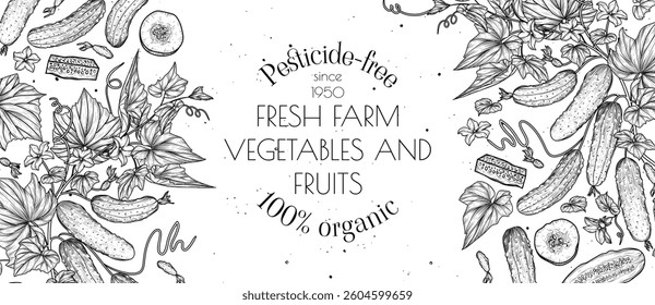 Vector frame of vegetable. Cucumbers on a branch with a leaf, half, slice and piece. Template farm organic farming. Grocery store card. Healthy food brochure. Products of proper nutrition