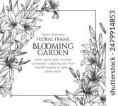 Vector frame of white and tiger lilies in engraving style