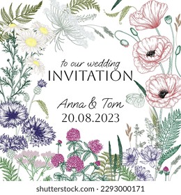 Vector frame of wild flowers and plants. Chamomile, clover, fern, chicory, poppy, cornflowers in engraving style