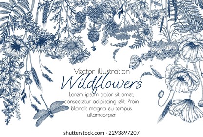 Vector frame of wild flowers and plants. Chamomile, clover, fern, chicory, poppy, valerian, cornflowers, bluebells, butterfly, dragonfly in engraving style