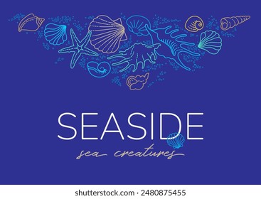 Vector frames, borders, vignettes of line art tropical sea elements, seashells, starfish. Doodles of marine life. Sea decor for scrapbook, card, design. Ocean, sea creatures. Maritime illustration
