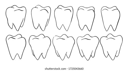 vector frames of spinning white tooth 