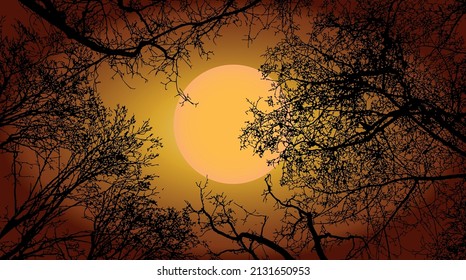 Vector framework from the branches of trees against sky in a full moon