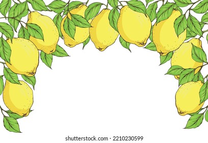 Vector framing: sunny yellow ripe lemon fruits on branch with fresh green leaves. Colorful summer decorative border for card, poster, illustration, packing.