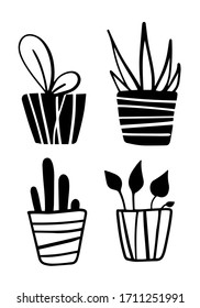 vector free hand drawn set of four house plants in the striped pots