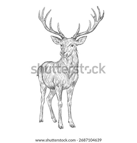Vector freehand Christmas deer a scarf scribble isolated on white background. Texture of writing materials. Handwritten christmases reindeer doodles and pencil strokes.	
