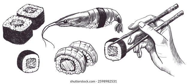 Vector freehand collection sushi scribble isolated white background. Texture of writing materials. Handwritten Korean food doodles,  pencil strokes. Drawing of a hand holding chopsticks, roll. Sketch